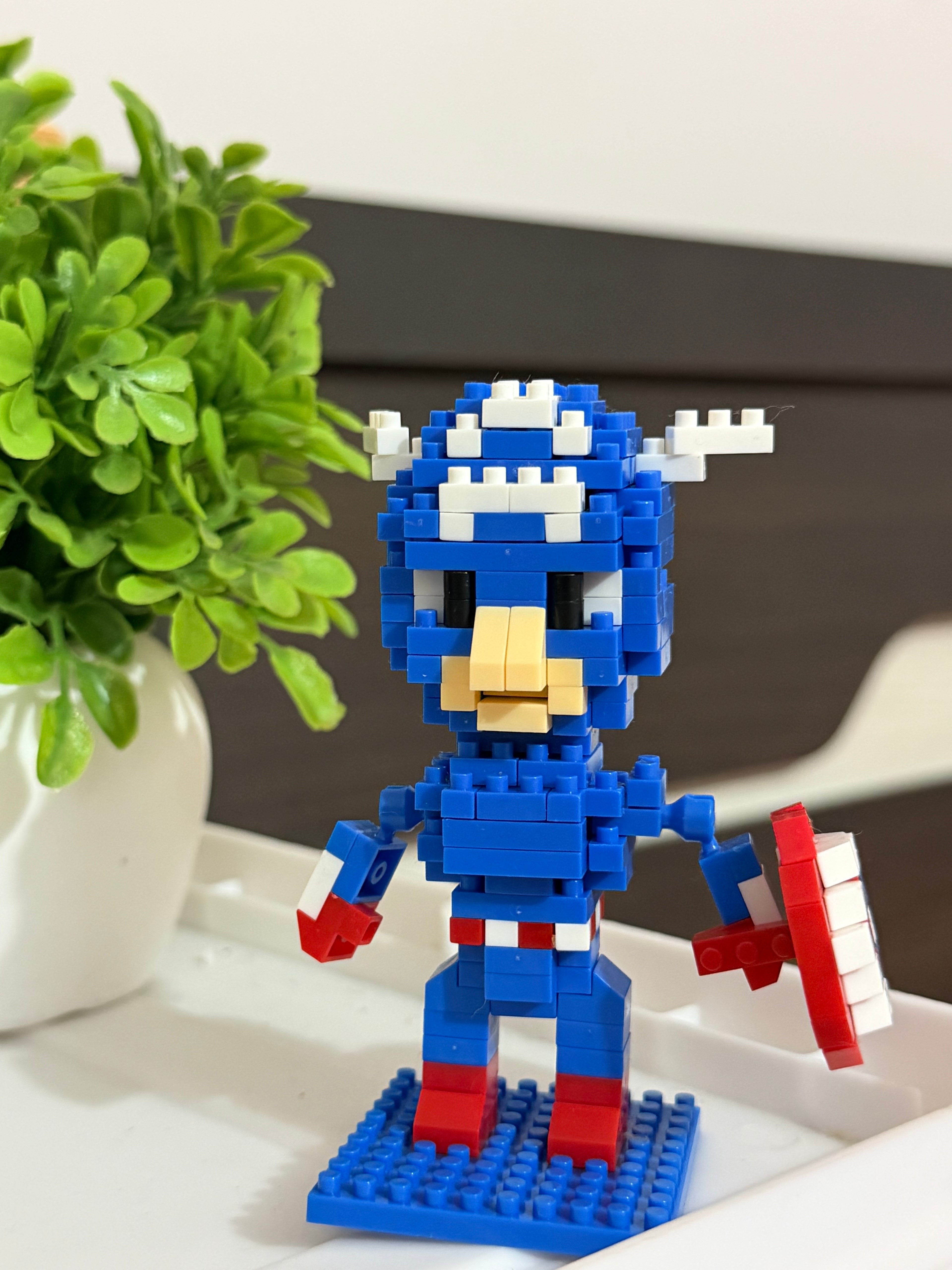 The Star-Shield Soldier