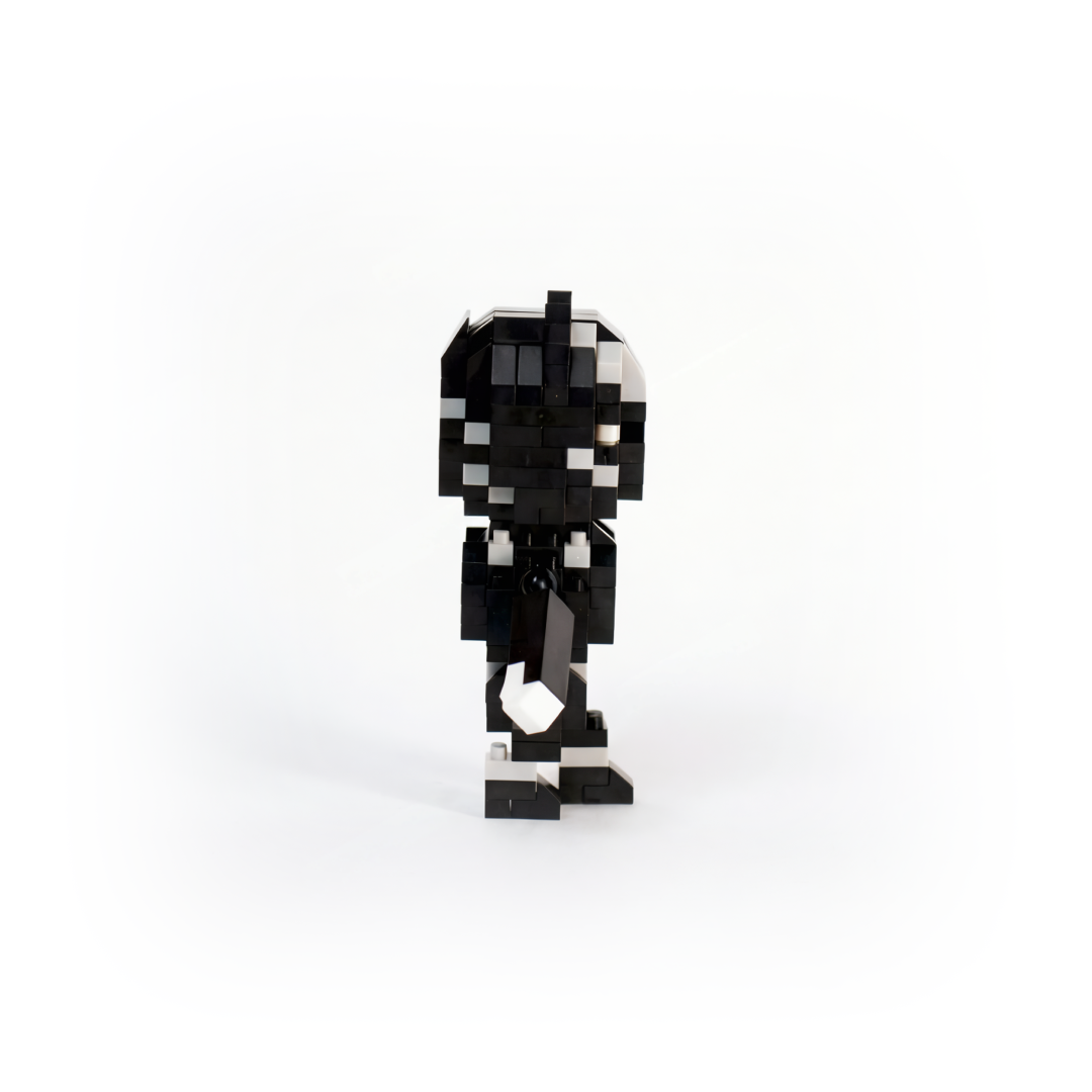 The King of Wakanda